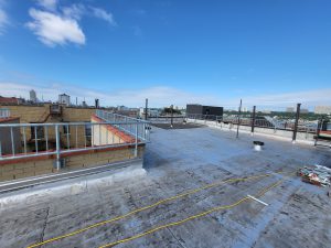 WhatsApp Image 2025-10-23 at 11.32.30 (8)