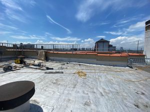 WhatsApp Image 2025-10-23 at 11.32.32